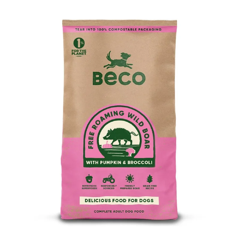 Beco Wild Boar With Pumpkin & Broccoli Dog Food