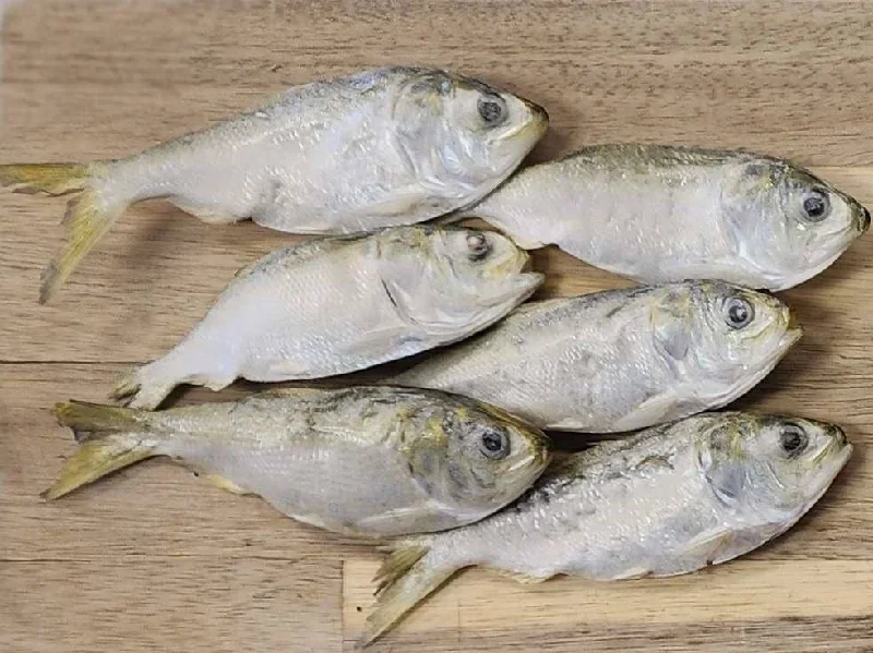 Freeze Dried Menhaden