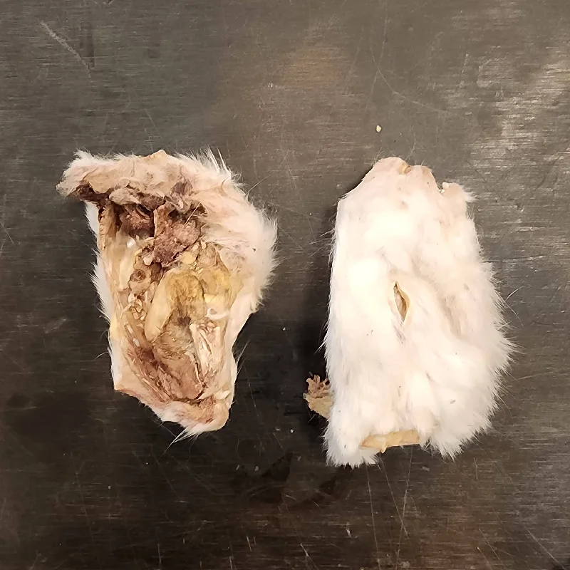 Freeze Dried Rabbit Heads Halves (No Ears)