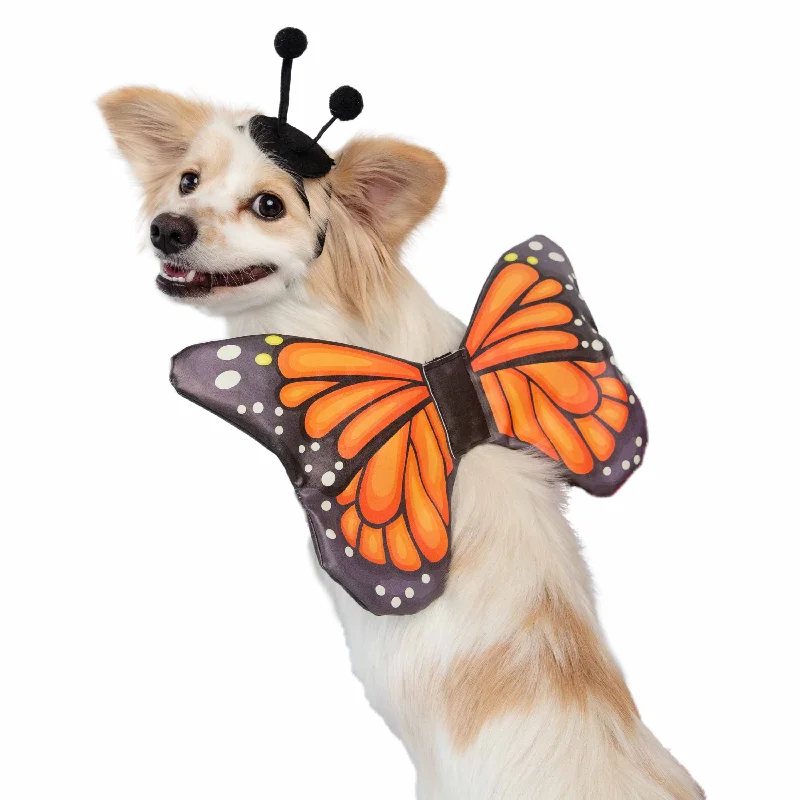 Monarch Butterfly Dog Costume