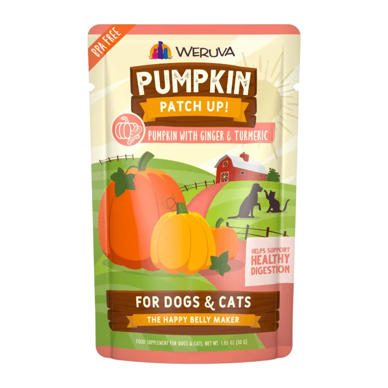 Wet Food Supplement For Dogs & Cats - PUMPKIN PATCH UP! - Pumpkin with Ginger & Turmeric