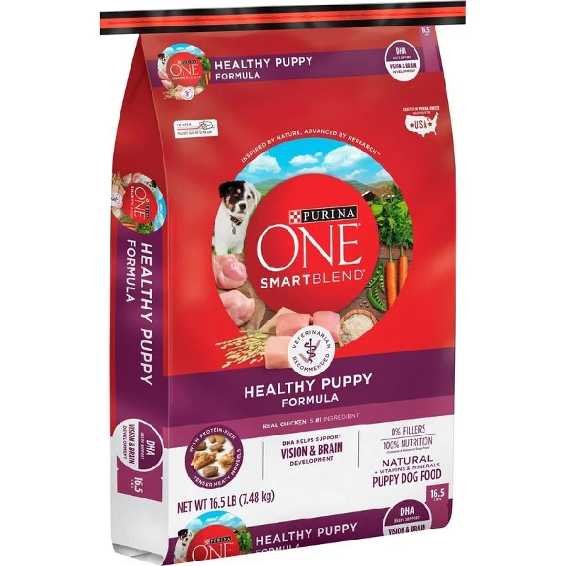 Purina ONE Healthy Puppy Chicken Recipe Dry Dog Food