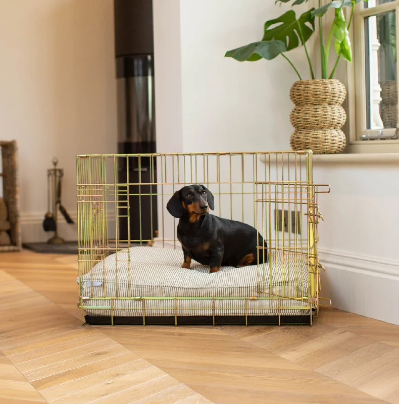 Dog Cushion in Regency Stripe by Lords & Labradors