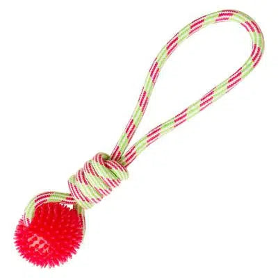 SnugArooz Spike-O-Mite Dog Toy