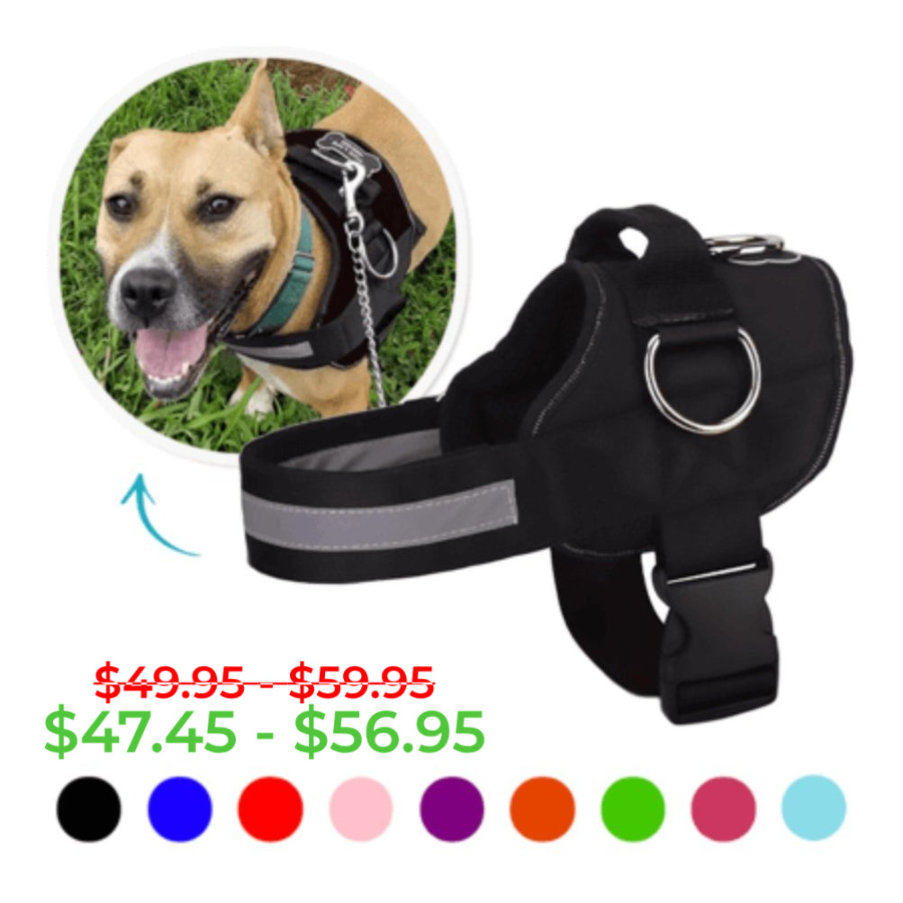 Joyride Basic Essential Dog Harness 1.0 (Solid Colors)