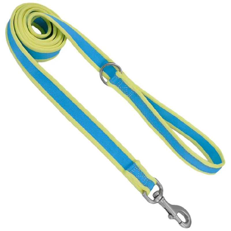 Coastal Pet Attire Pro Nylon Dog Leash, 6' x 3/4"