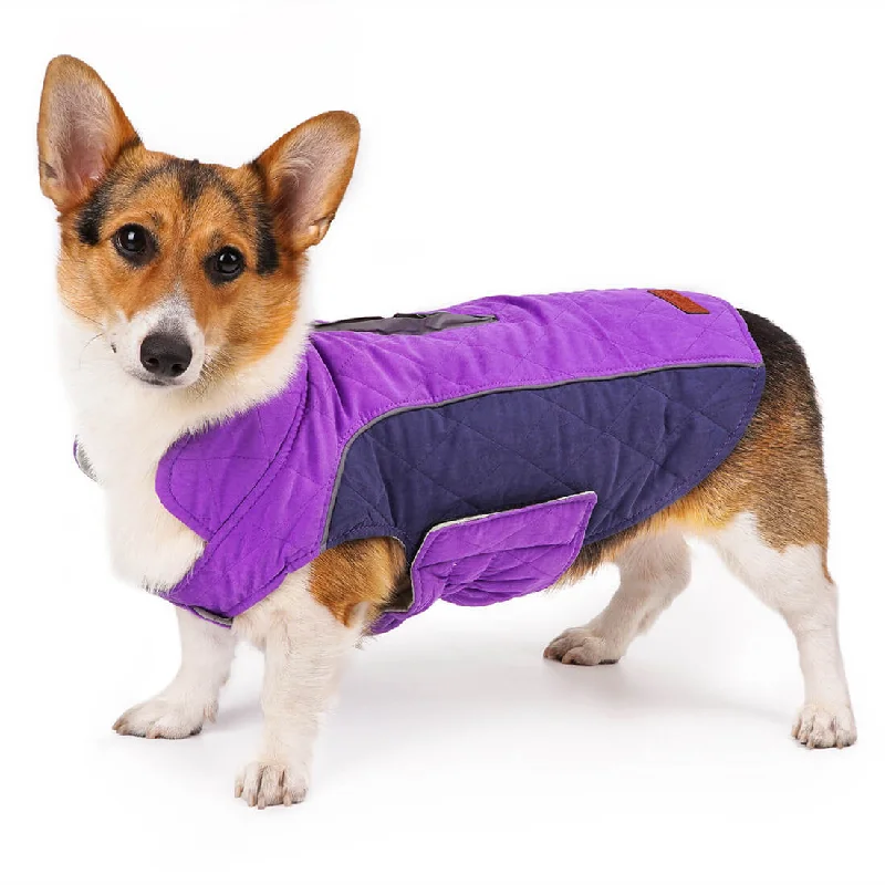 Dog Winter Coat - Super Warm With Reversible Stripe - Winter Dog Gear | ThinkPet