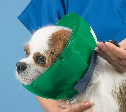 E-Collar - For Cats & Small Dogs