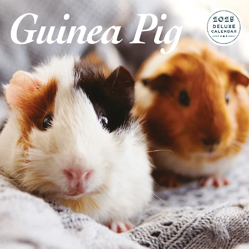 Guinea Pig Deluxe Calendar 2025