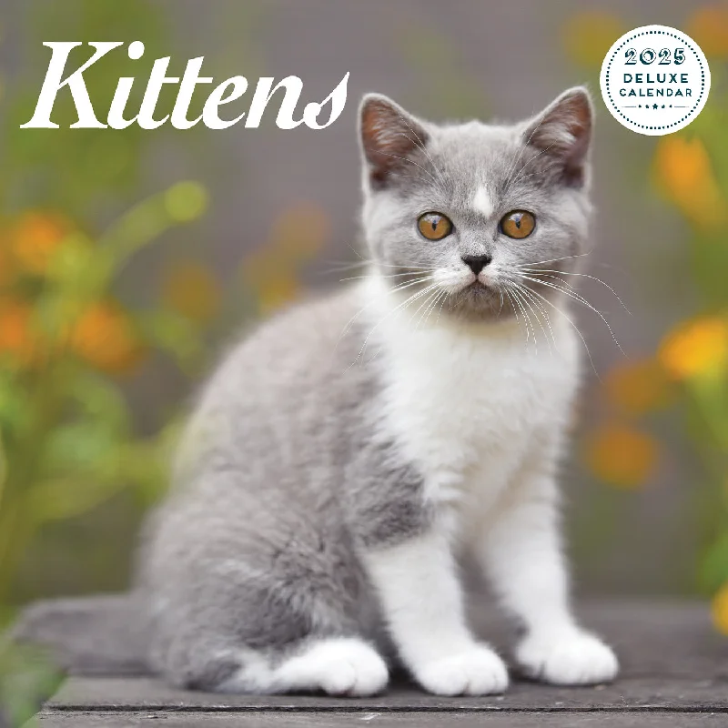 Kitten Deluxe Calendar 2025