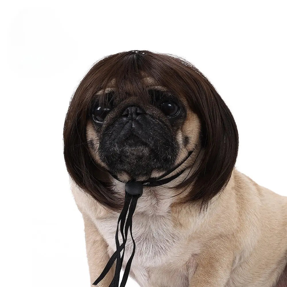 Pet Wig