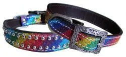 Rainbow Glitter overlay leather dog collar.