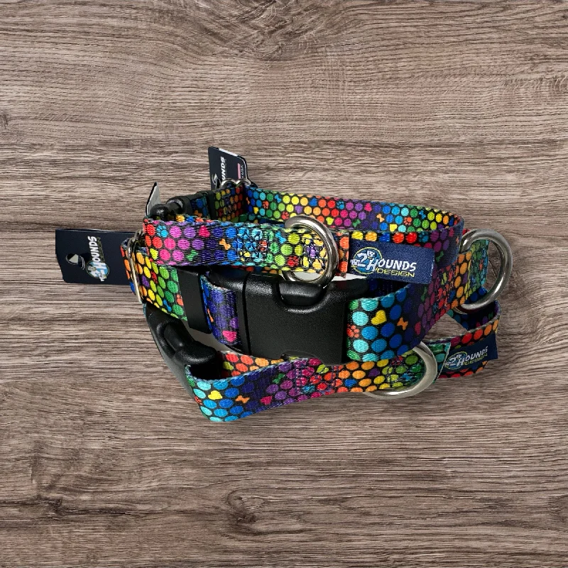 ROY G BIV Dog Collars and/or Leash