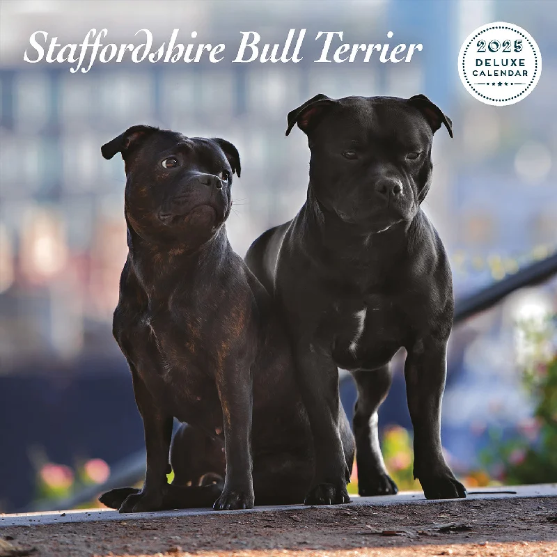 Staffordshire Bull Terrier Deluxe Calendar 2025