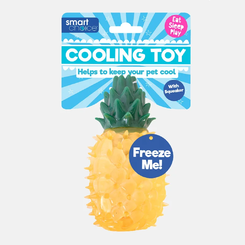 Summer Cooling Fruit Rubber Dog Toy